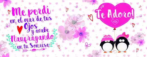 vectores plantilas AMOR,AMISTAD,FESTEJO,